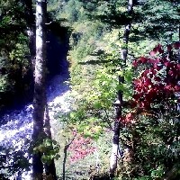 f:id:paseyo:20091012210747j:image