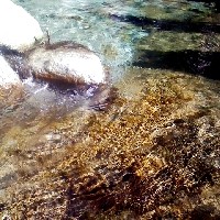 f:id:paseyo:20091012210750j:image