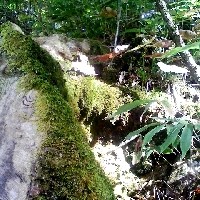 f:id:paseyo:20091012210751j:image