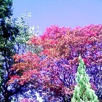 f:id:paseyo:20091012210756j:image