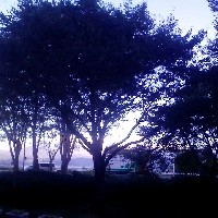 f:id:paseyo:20091012210805j:image