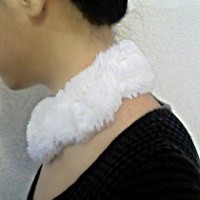 f:id:paseyo:20091130094402j:image