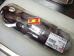 f:id:paseyo:20091207005604j:image