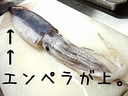 f:id:paseyo:20091207005605j:image