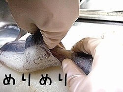 f:id:paseyo:20091207005606j:image