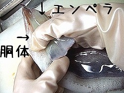 f:id:paseyo:20091207005614j:image