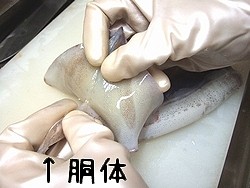 f:id:paseyo:20091207005615j:image