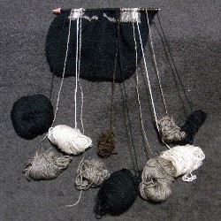 f:id:paseyo:20100117150026j:image f:id:paseyo:20100117150026j:image