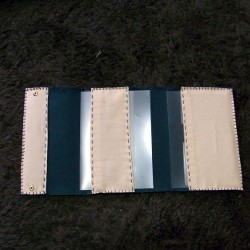 f:id:paseyo:20100214153743j:image