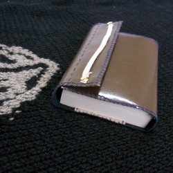 f:id:paseyo:20100214153950j:image
