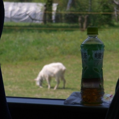 f:id:paseyo:20100502095502j:image f:id:paseyo:20100502095502j:image