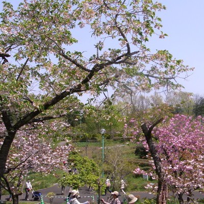 f:id:paseyo:20100502110721j:image f:id:paseyo:20100502110721j:image