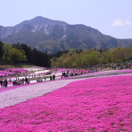 f:id:paseyo:20100502111518j:image f:id:paseyo:20100502111518j:image