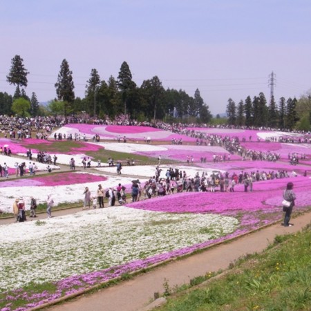 f:id:paseyo:20100502112321j:image f:id:paseyo:20100502112321j:image