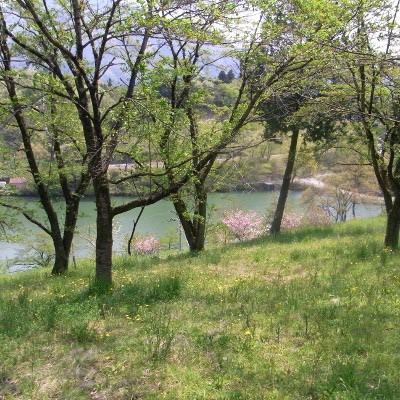 f:id:paseyo:20100502122107j:image f:id:paseyo:20100502122107j:image