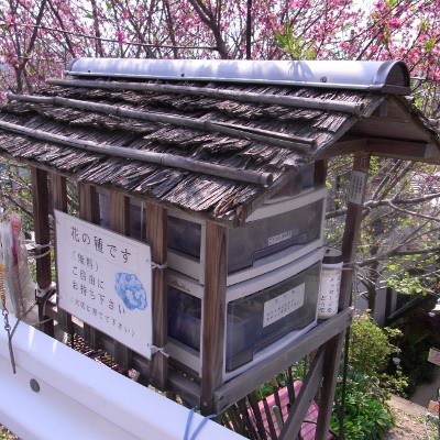 f:id:paseyo:20100502135333j:image f:id:paseyo:20100502135333j:image