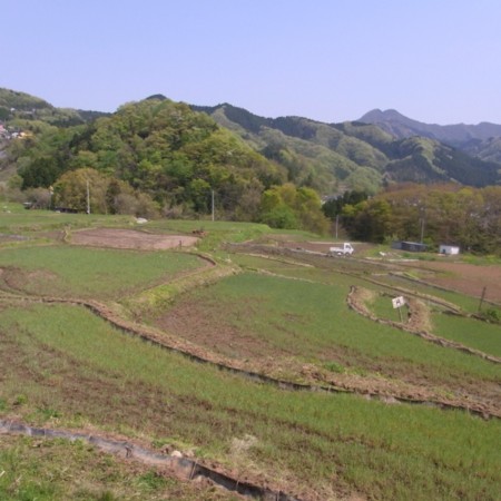 f:id:paseyo:20100502135909j:image f:id:paseyo:20100502135909j:image