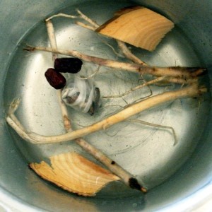 f:id:paseyo:20100911151407j:image f:id:paseyo:20100911151407j:image