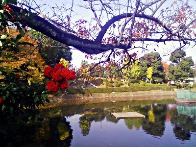 f:id:paseyo:20101112131753j:image