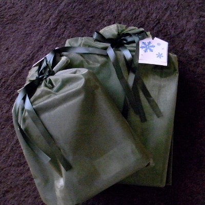 f:id:paseyo:20101225131121j:image