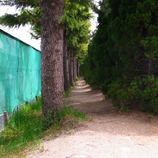 f:id:paseyo:20110501135155j:image f:id:paseyo:20110501135155j:image