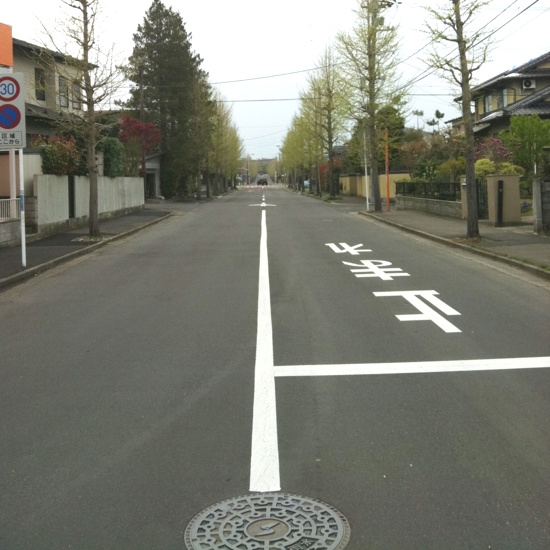 f:id:paseyo:20110501214633j:image