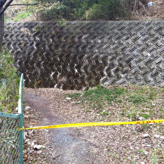 f:id:paseyo:20110502233652j:image