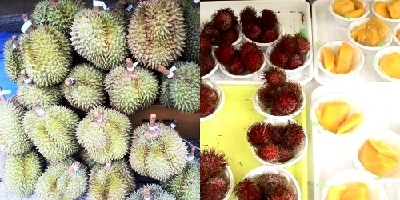 f:id:paseyo:20111010165145j:image