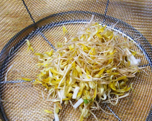 f:id:paseyo:20111021201948j:image