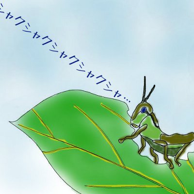 f:id:paseyo:20120426124300j:image
