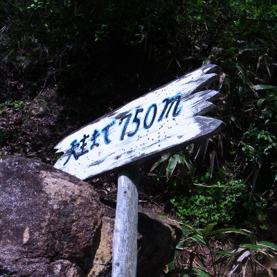 f:id:paseyo:20120508235444j:image
