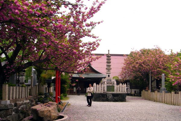 f:id:paseyo:20120509214249j:image f:id:paseyo:20120509214249j:image