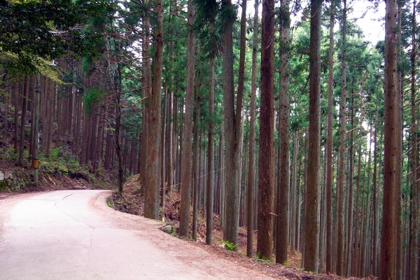 f:id:paseyo:20120509214254j:image f:id:paseyo:20120509214254j:image