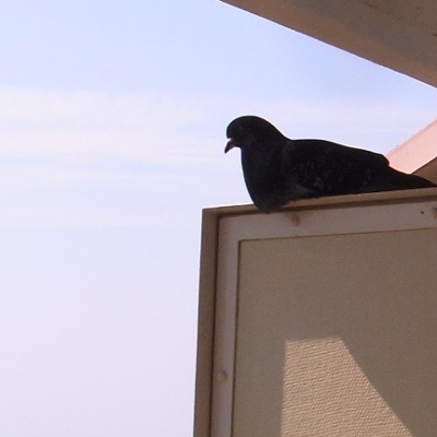 f:id:paseyo:20120527191325j:image f:id:paseyo:20120527191325j:image