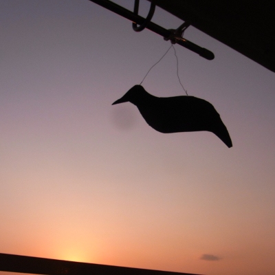 f:id:paseyo:20120527191326j:image