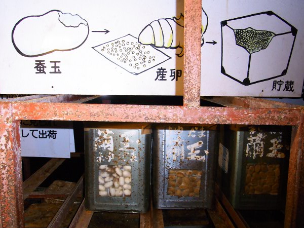 f:id:paseyo:20120816121756j:image