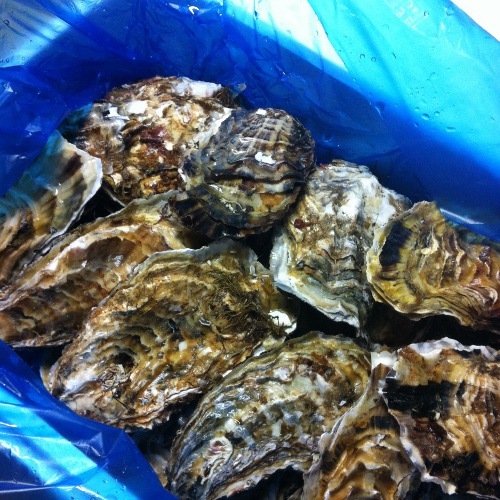 f:id:paseyo:20130506210623j:image
