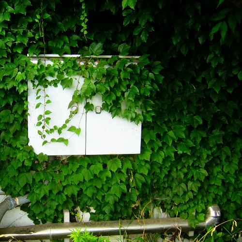 f:id:paseyo:20130712151037j:image