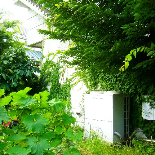 f:id:paseyo:20130712151038j:image