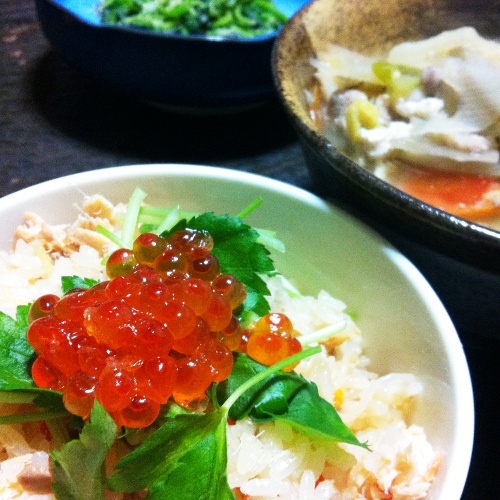 f:id:paseyo:20131104093847j:image