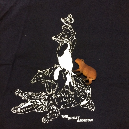 f:id:paseyo:20150406110040j:image