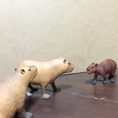 f:id:paseyo:20150406110041j:image
