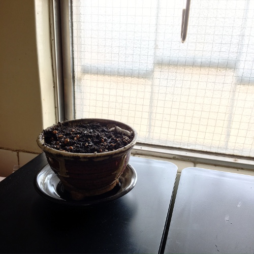 f:id:paseyo:20160229104657j:image f:id:paseyo:20160229104657j:image