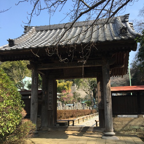f:id:paseyo:20160306205658j:image
