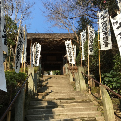 f:id:paseyo:20160306205707j:image
