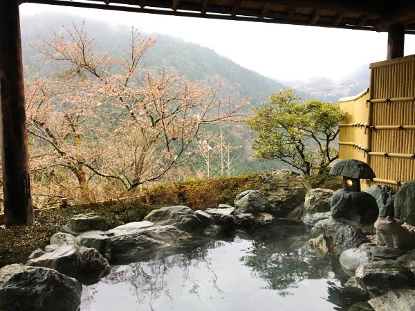 f:id:paseyo:20170412114614j:image