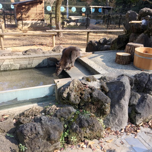 f:id:paseyo:20181227105124j:plain