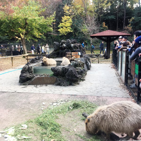 f:id:paseyo:20181227105132j:plain