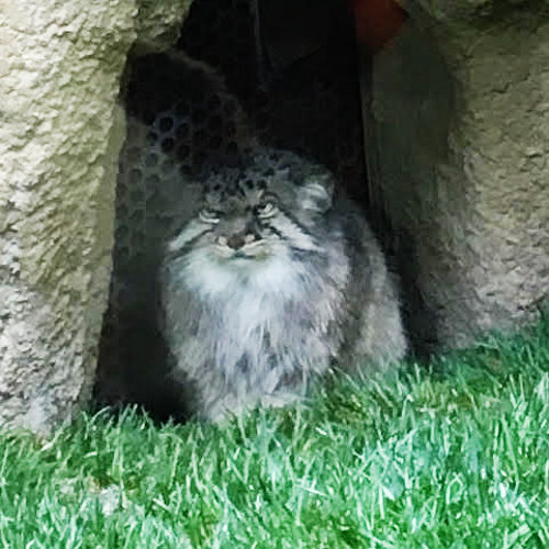 f:id:paseyo:20190507100753j:plain