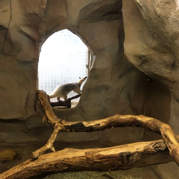 f:id:paseyo:20190507100754j:plain